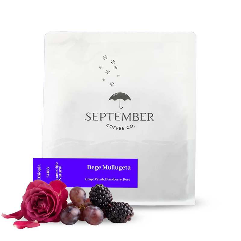 Specialty coffee September Coffee Ethiopia DEGE MULLUGETA