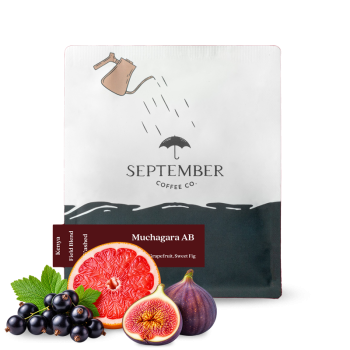 Kenya MUCHAGARA AB - September Coffee