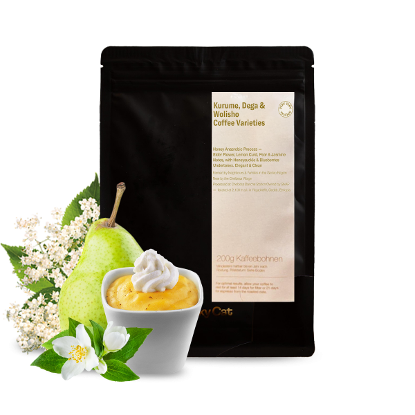 Specialty coffee Lucky Cat Coffee Ethiopia CHELBESA DANCHE