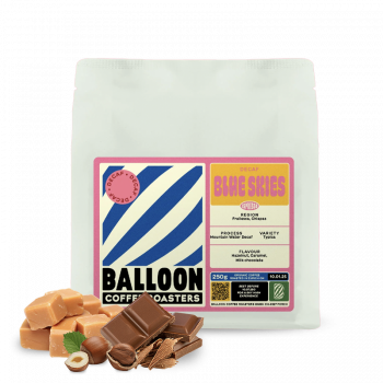 Mexico BLUE SKIES - decaffeinated - Balloon Coffee Roasters