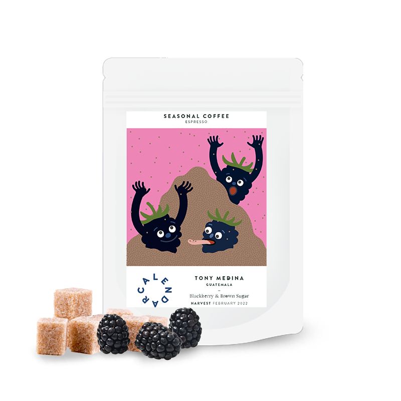 Specialty coffee Calendar Coffee Guatemala TONY MEDINA