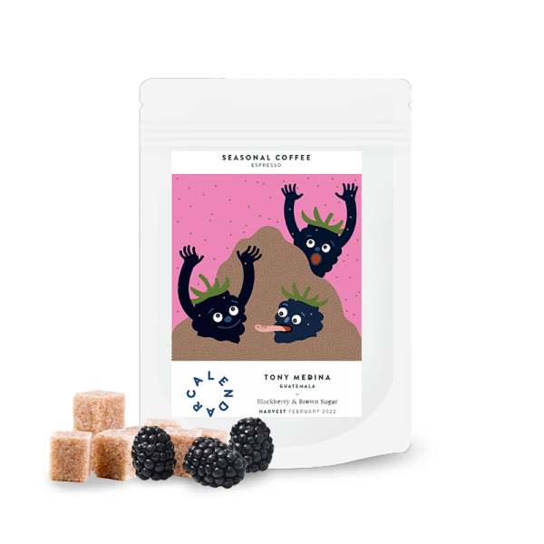 Specialty coffee Calendar Coffee Guatemala TONY MEDINA