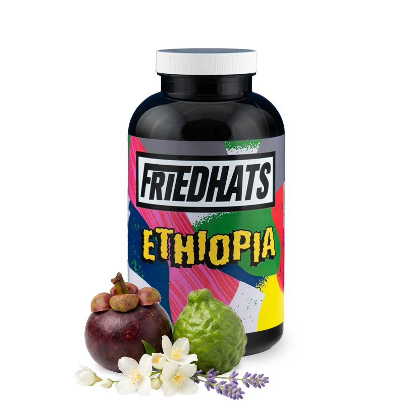 Specialty coffee Friedhats Coffee Ethiopia ASHENAFI GETANEH