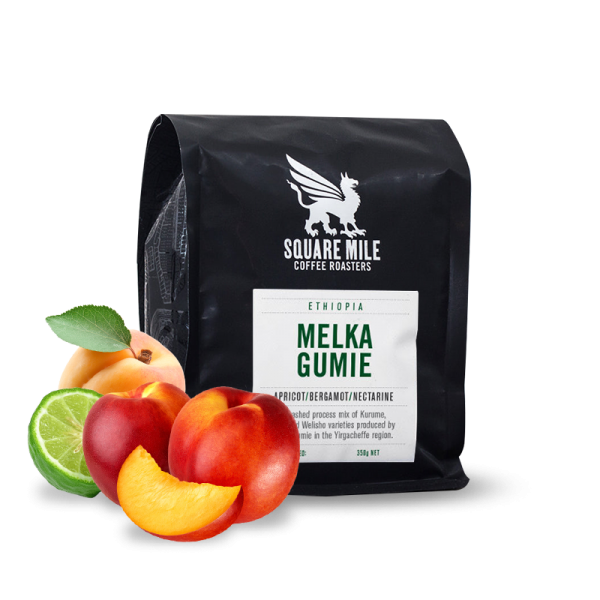 Specialty coffee Square Mile Ethiopia MELKA GUMIE - 2023