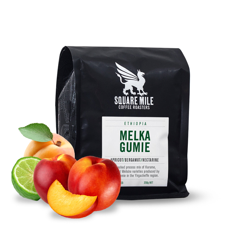 Specialty coffee Square Mile Ethiopia MELKA GUMIE - 2023