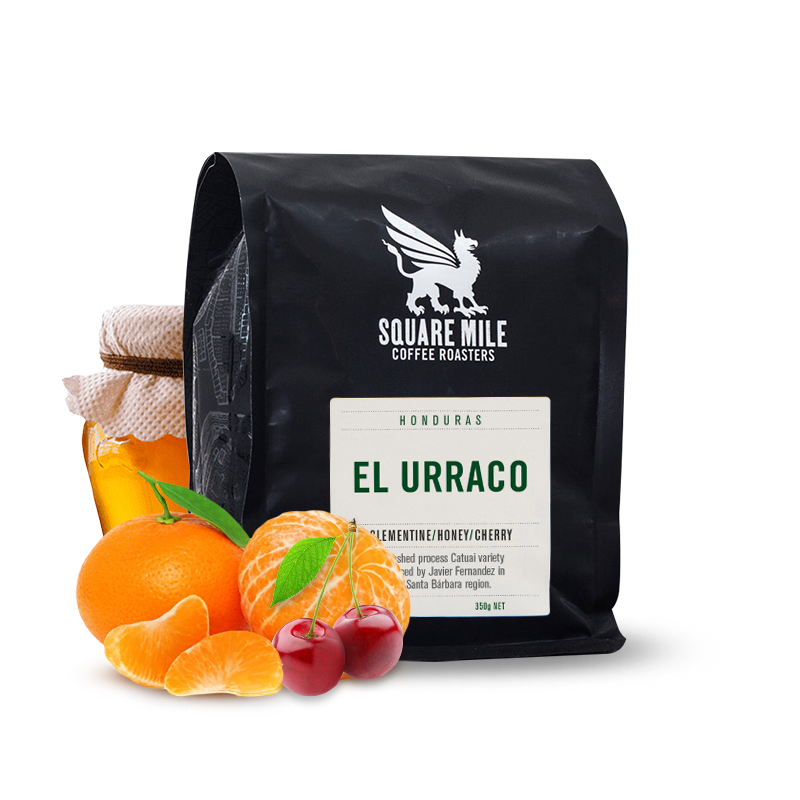 Specialty coffee Square Mile Honduras EL URRACO - 2023