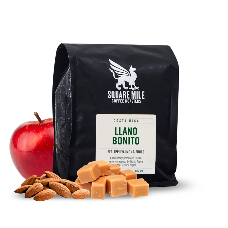 Specialty coffee Square Mile Costa Rica LLANO BONITO