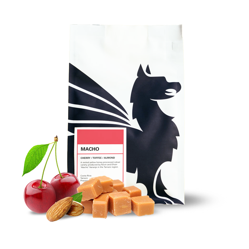 Specialty coffee Square Mile Costa Rica MACHO
