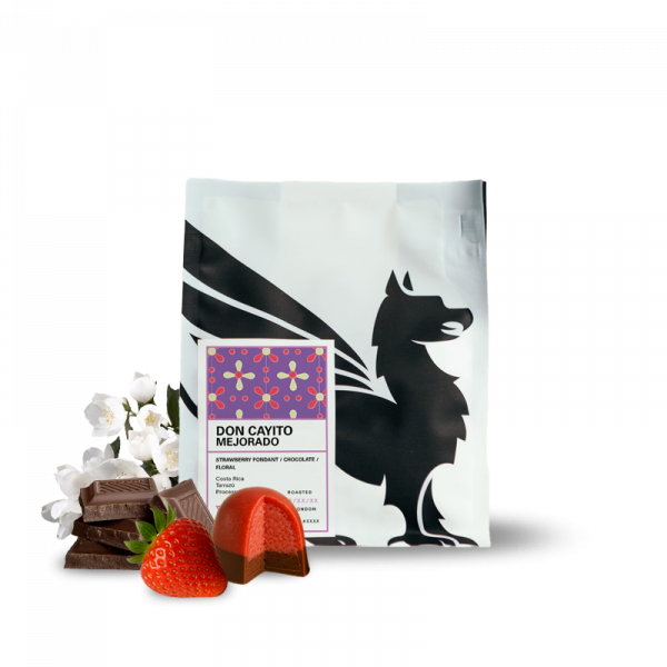 Specialty coffee Square Mile Costa Rica DON CAYITO MEJORADO - 175g