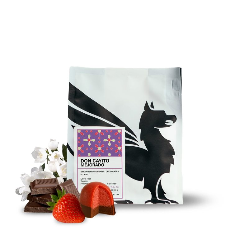 Specialty coffee Square Mile Costa Rica DON CAYITO MEJORADO - 175g
