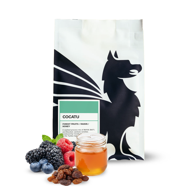 Specialty coffee Square Mile Rwanda COCATU
