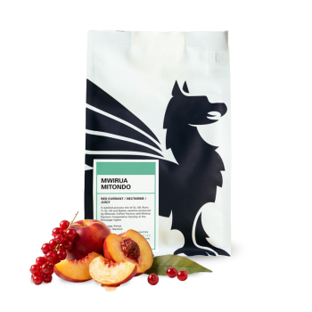 Kenya MWIRUA MITONDO - Square Mile