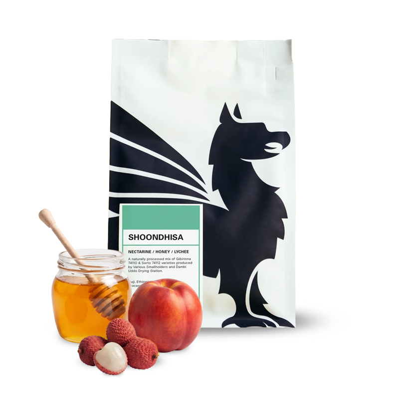 Specialty coffee Square Mile Ethiopia SHOONDHINA