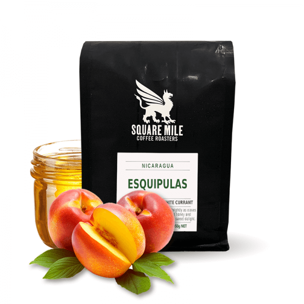 Specialty coffee Square Mile Nikaragua ESQUIPULAS