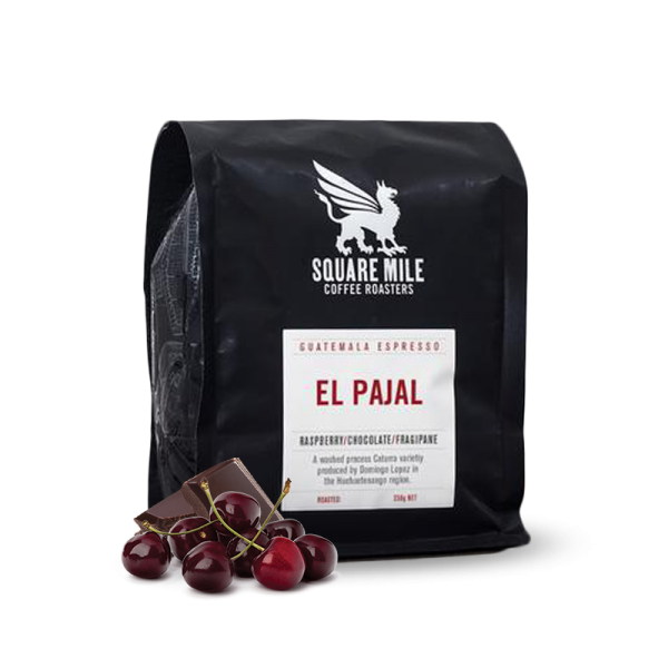 Specialty coffee Square Mile Guatemala EL PAJAL