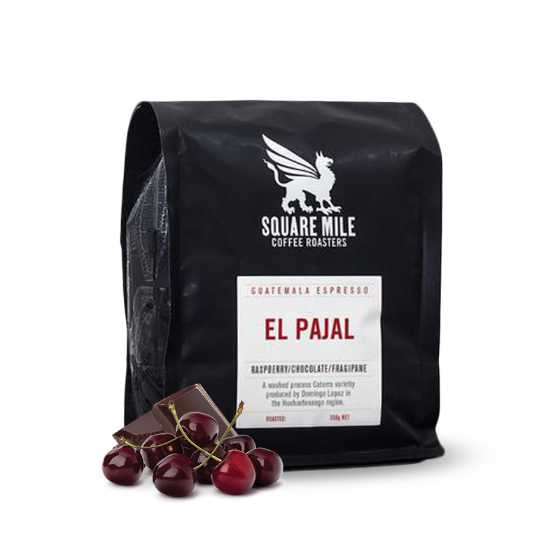 Specialty coffee Square Mile Guatemala EL PAJAL