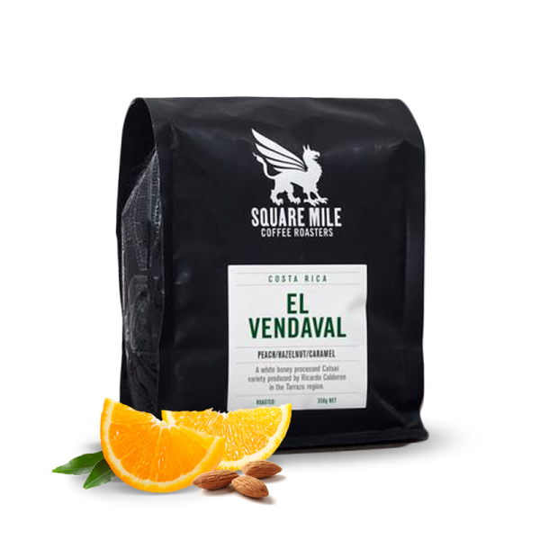 Specialty coffee Square Mile Costa Rica EL VENDAVAL