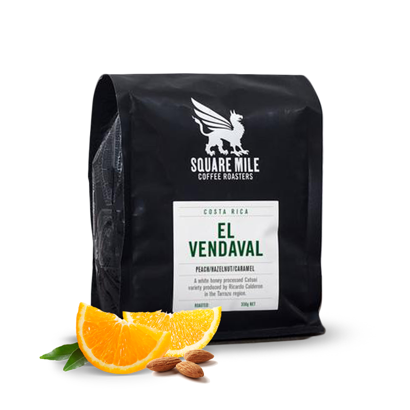 Specialty coffee Square Mile Costa Rica EL VENDAVAL