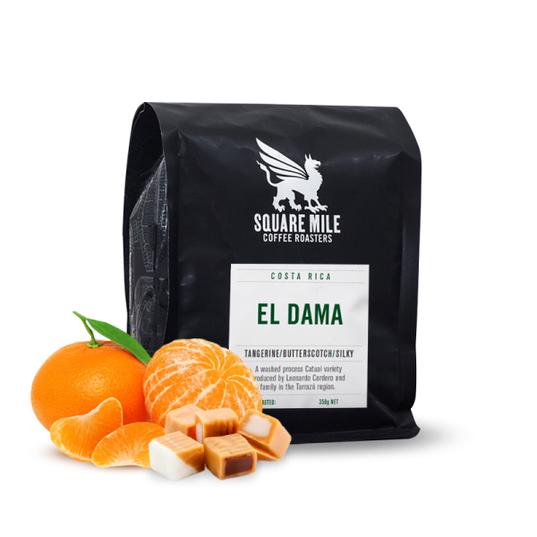 Specialty coffee Square Mile Costa Rica EL DAMA