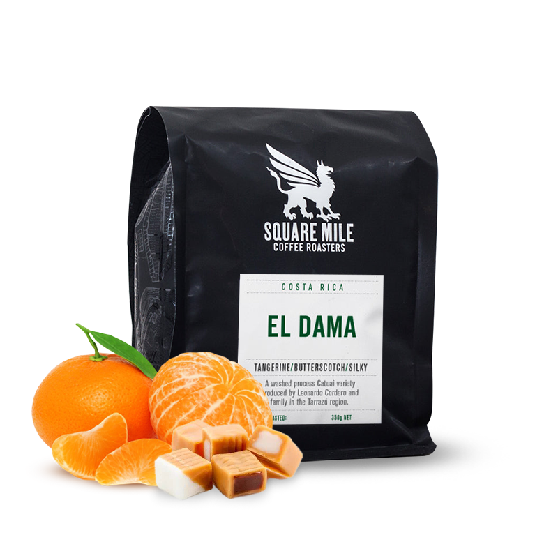 Specialty coffee Square Mile Costa Rica EL DAMA