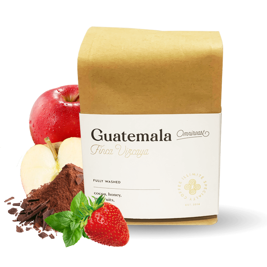 Specialty coffee Illimité Coffee Roasters Guatemala FINCA VIZCAYA