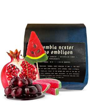 Colombia NESTOR LASSO - ombligon - 113g - Onyx Coffee Lab