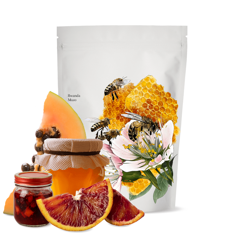 Specialty coffee Kmen Coffee Roasters Rwanda MUZO