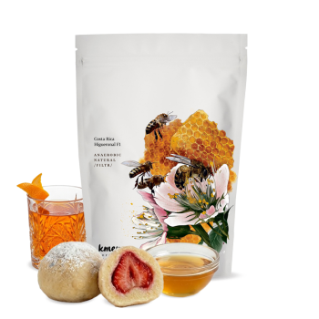 Costa Rica HIGUERONAL F1 - Kmen Coffee Roasters