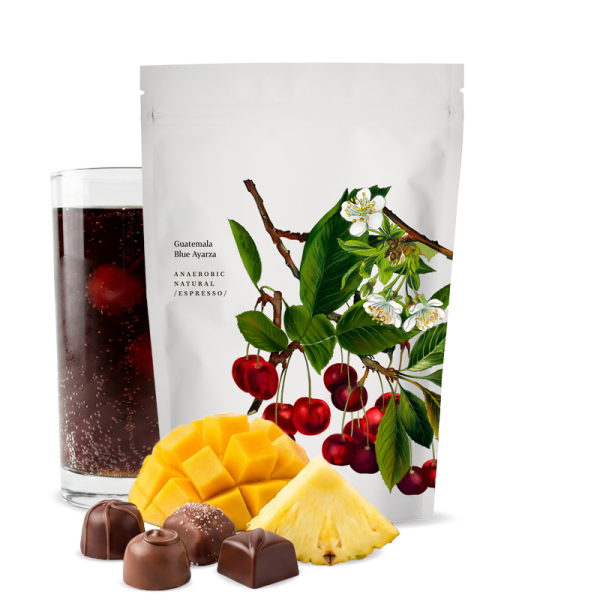 Specialty coffee Kmen Coffee Roasters Guatemala BLUE AYARZA