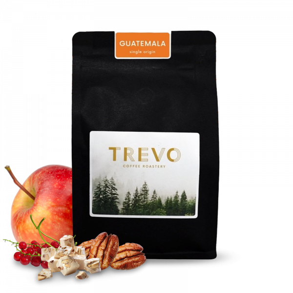 Specialty coffee Trevo Coffee Roastery Guatemala FINCA LA SENDA