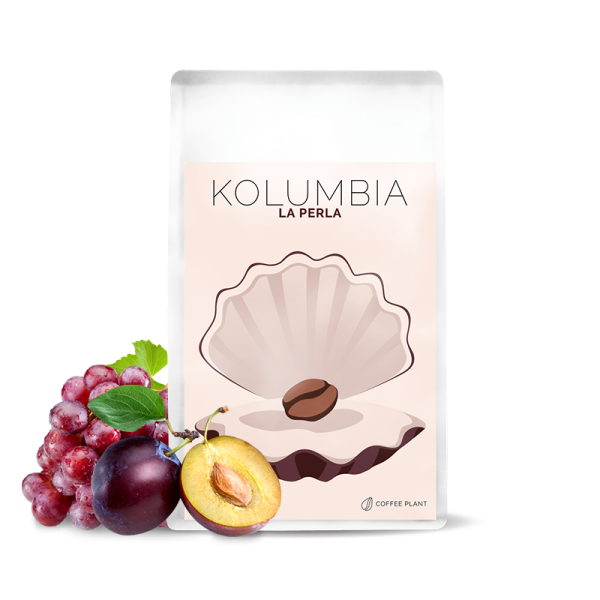 Specialty coffee Coffee Plant Colombia LA PERLA