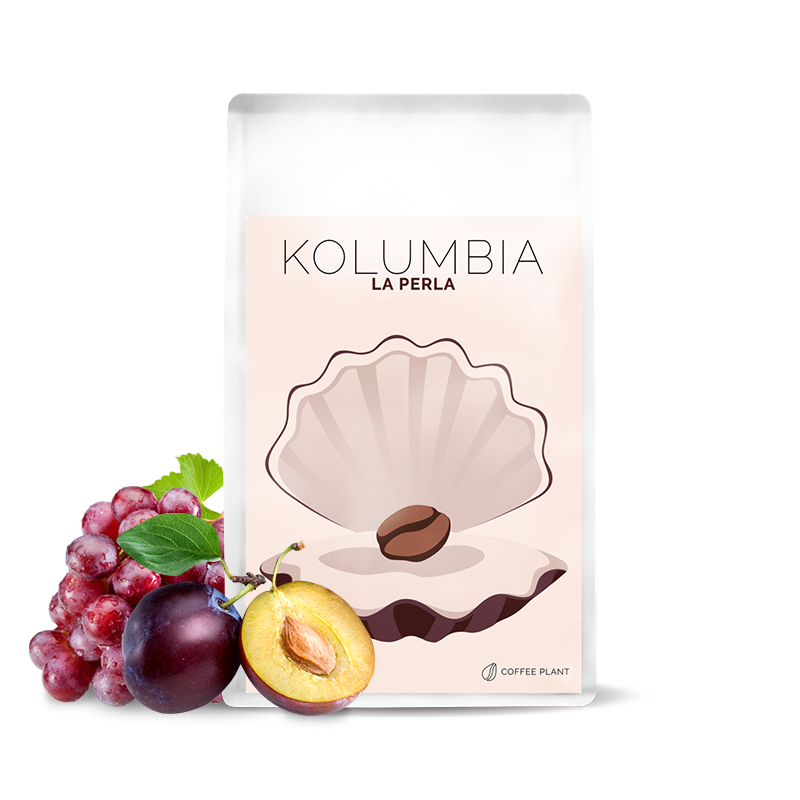 Specialty coffee Coffee Plant Colombia LA PERLA