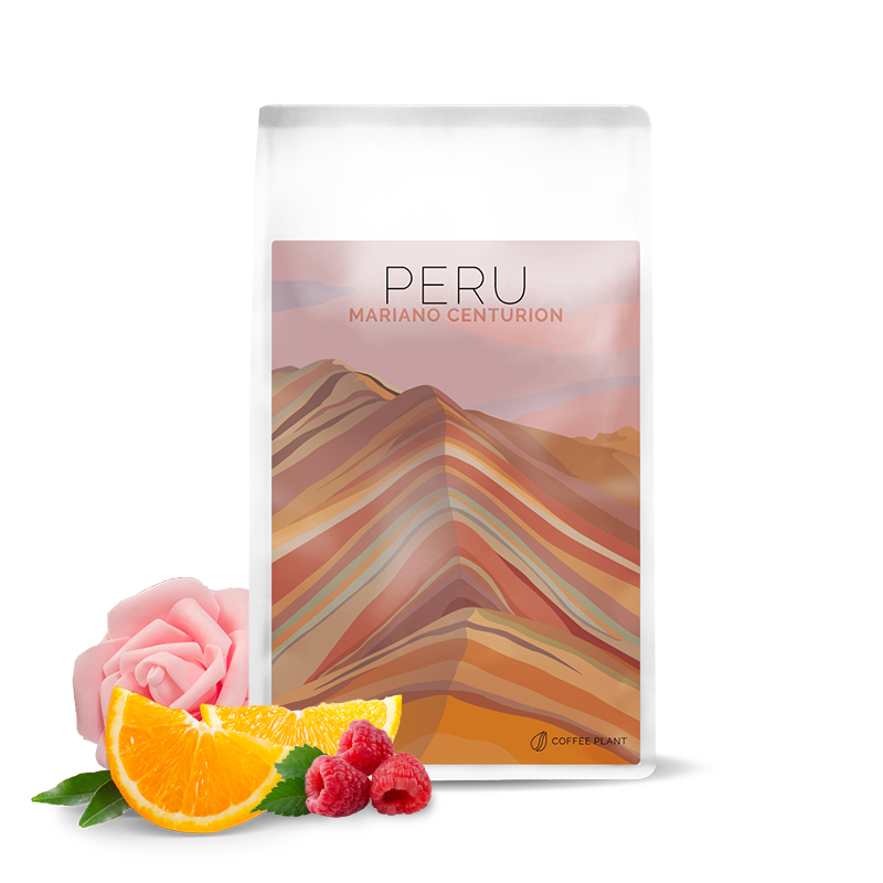 Specialty coffee Coffee Plant Peru MARIANO CENTURION