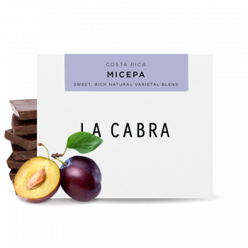 Costa Rica MICEPA - La Cabra Coffee