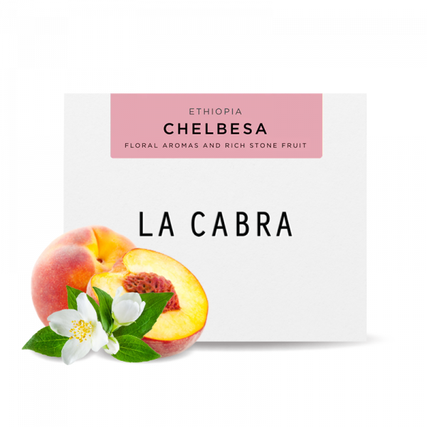 Specialty coffee La Cabra Coffee Ethiopia CHELBESA