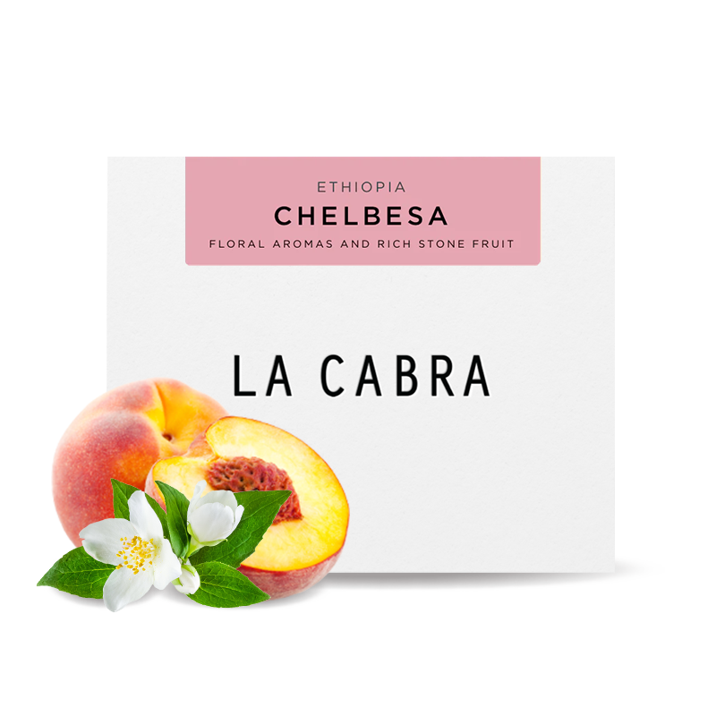 Specialty coffee La Cabra Coffee Ethiopia CHELBESA