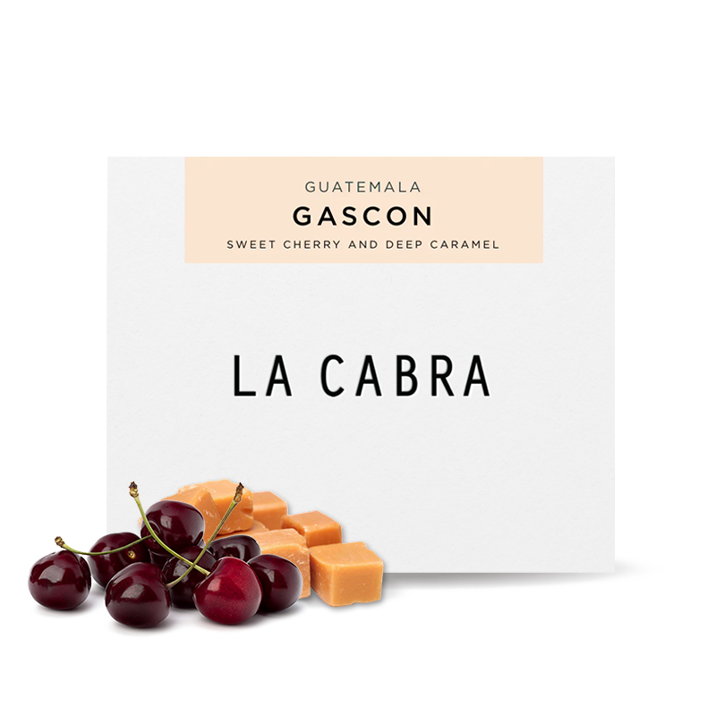 Specialty coffee La Cabra Coffee Guatemala GASCON