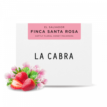 El Salvador FINCA SANTA ROSA - Honey - La Cabra Coffee