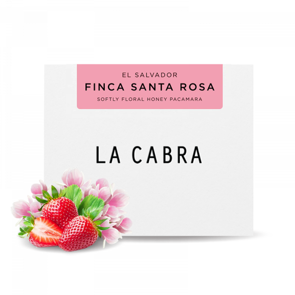 Specialty coffee La Cabra Coffee El Salvador FINCA SANTA ROSA - Honey