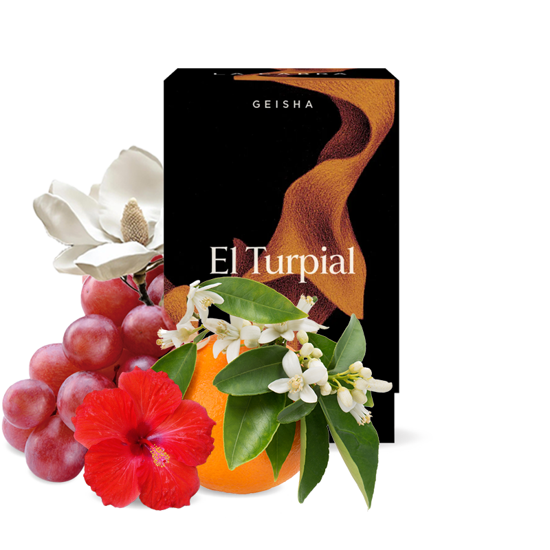 Specialty coffee La Cabra Coffee Colombia EL TURPIAL GEISHA - 100g