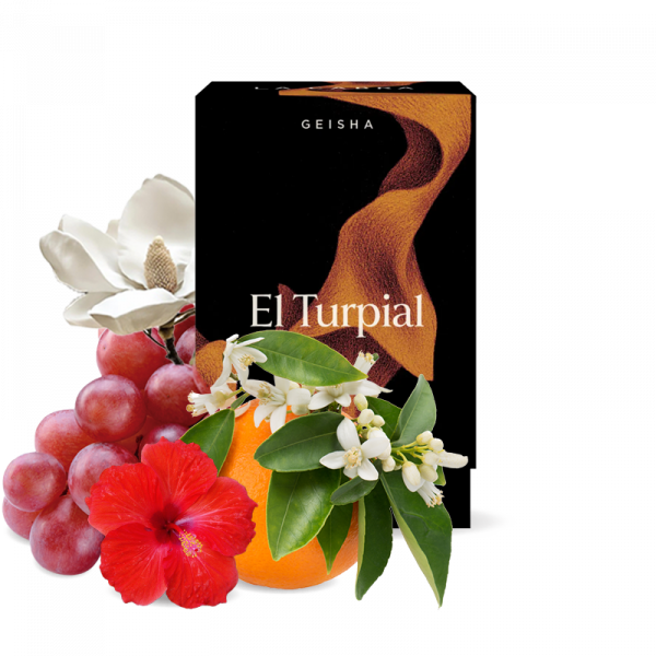 Specialty coffee La Cabra Coffee Colombia EL TURPIAL GEISHA - 100g