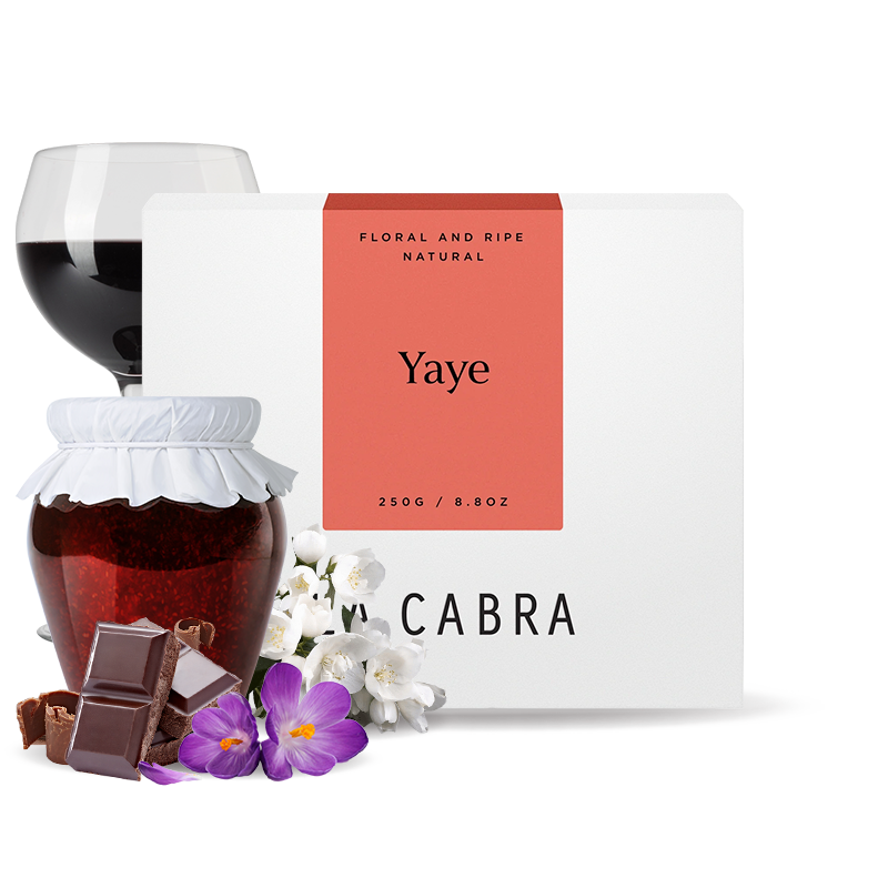 Specialty coffee La Cabra Coffee Ethiopia YAYE