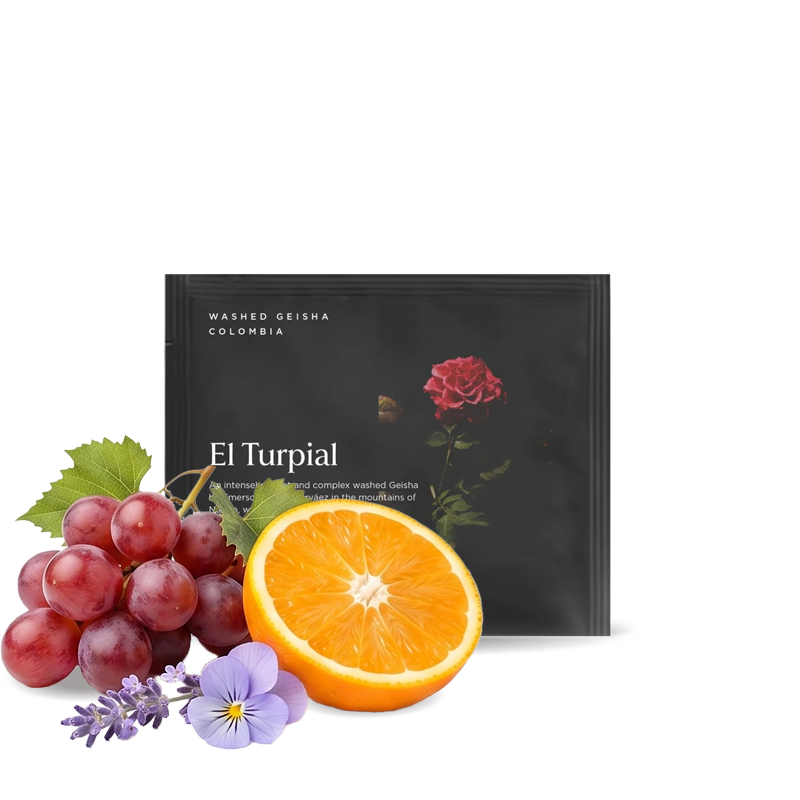 Specialty coffee La Cabra Coffee Colombia EL TURPIAL - STEEPED COFFEE - 1 pack