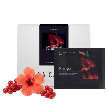 Kenya KIANGOI - STEEPED COFFEE - 6 pcs/box. - La Cabra Coffee