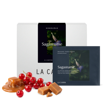Honduras SAGASTUME - STEEPED COFFEE - 6 pcs/box. - La Cabra Coffee