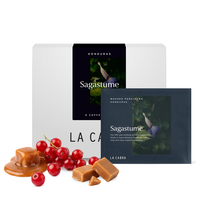 Specialty coffee La Cabra Coffee Honduras SAGASTUME - STEEPED COFFEE - 6 pcs/box.
