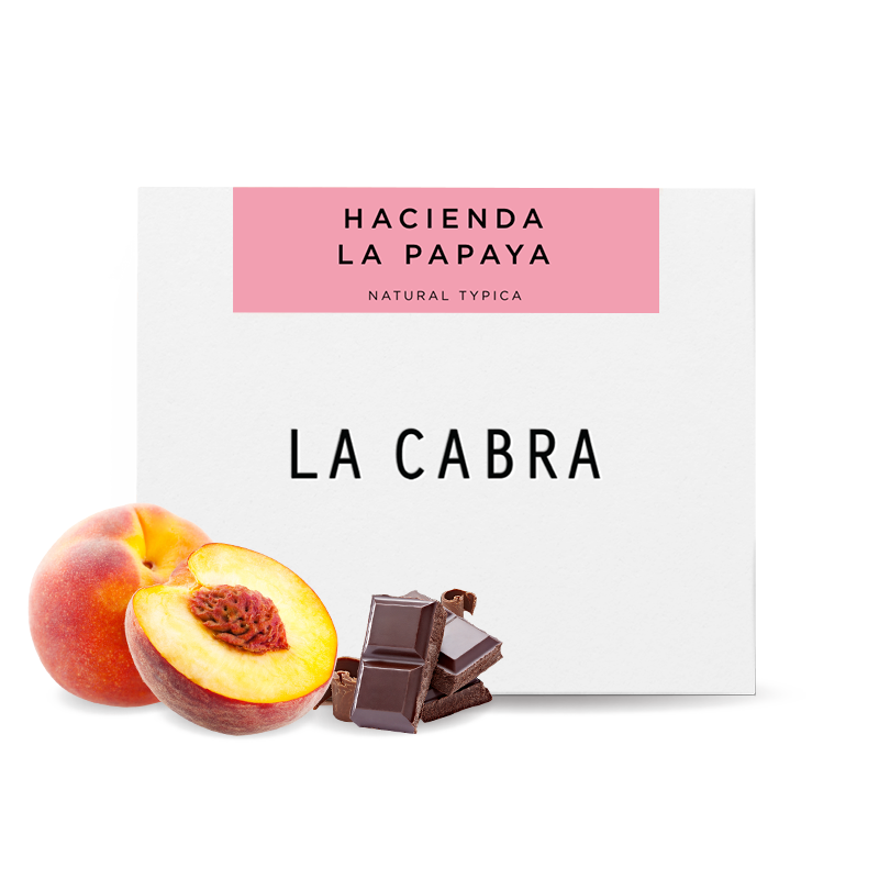 Specialty coffee La Cabra Coffee Ecuador LA PAPAYA