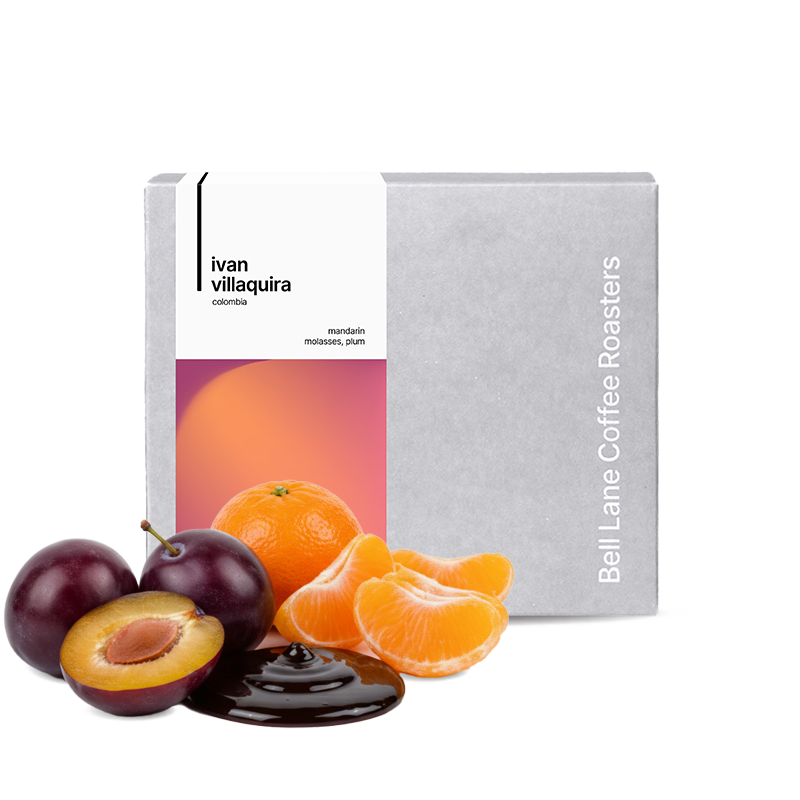 Specialty coffee Bell Lane Colombia IVAN VILLAQUIRA