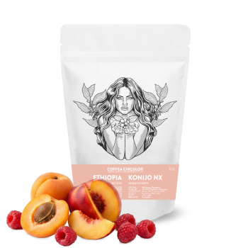 KONIJO KONJO NX Horse Treats - 100g - Coffea Circulor