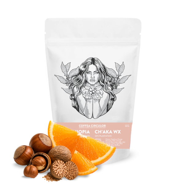 Specialty coffee Coffea Circulor Ethiopia CH`AKA WX